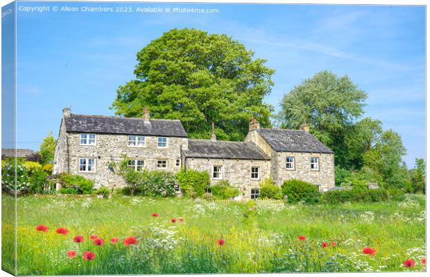 Linton North Yorkshire  Canvas Print by Alison Chambers