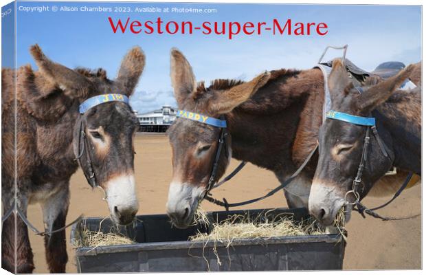 Weston super Mare Donkeys Canvas Print by Alison Chambers