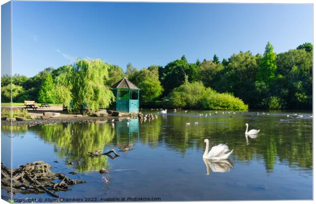 Golden Acre Park Leeds Canvas Print by Alison Chambers