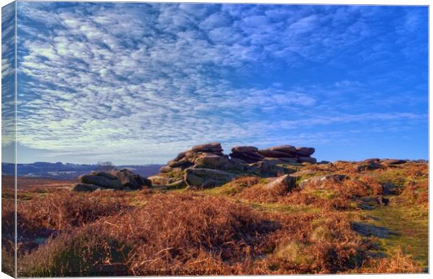 Owler Tor Peak District Canvas Print by Alison Chambers