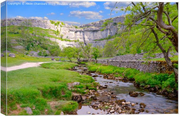 Malham Cove in the Yorkshire Dales  Canvas Print by Alison Chambers