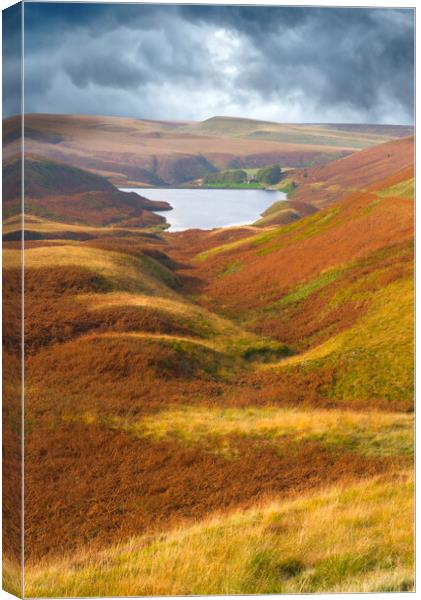 Wessenden Reservoir Huddersfield  Canvas Print by Alison Chambers