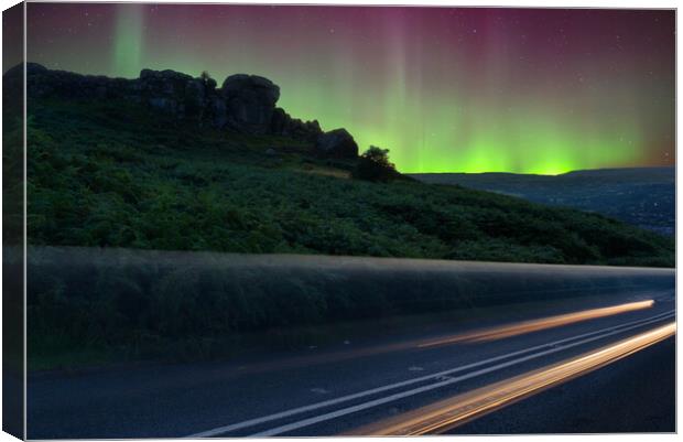 Ilkley Moor Cow and Calf Aurora Borealis Canvas Print by Alison Chambers