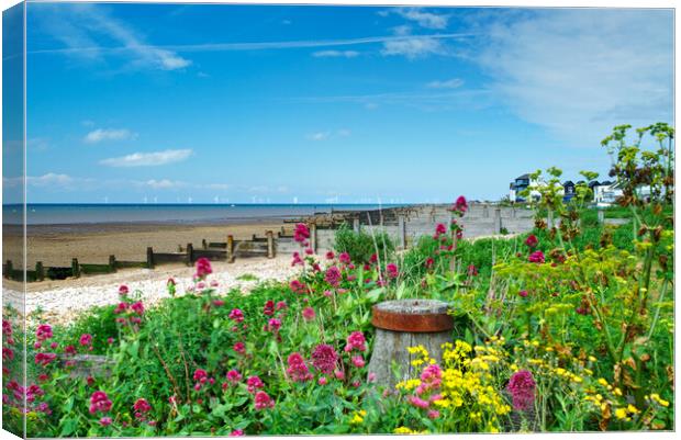 Whitstable Coastal Flowers Canvas Print by Alison Chambers