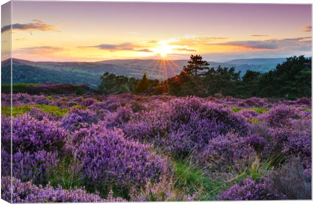 Ilkley Moor Sunset Canvas Print by Alison Chambers