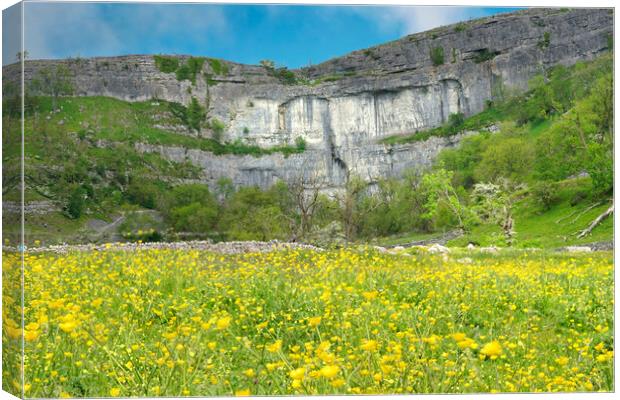 Yorkshire Dales Canvas Print by Alison Chambers