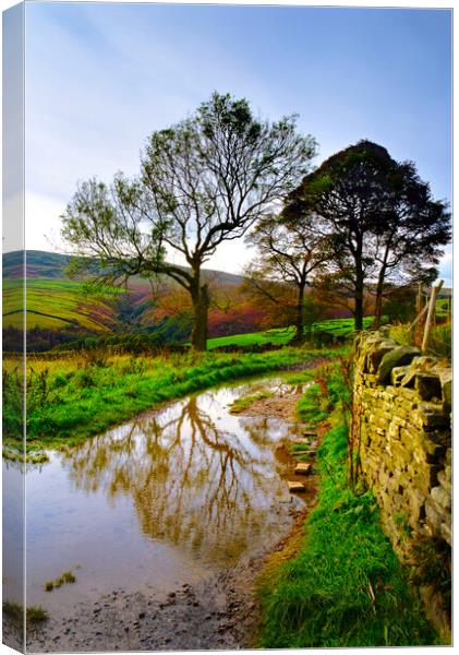 Holme Valley Tree Reflection  Canvas Print by Alison Chambers