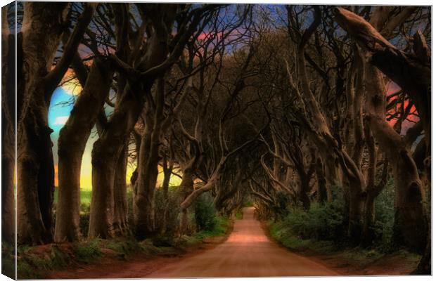 Dark Hedges  Canvas Print by Alison Chambers