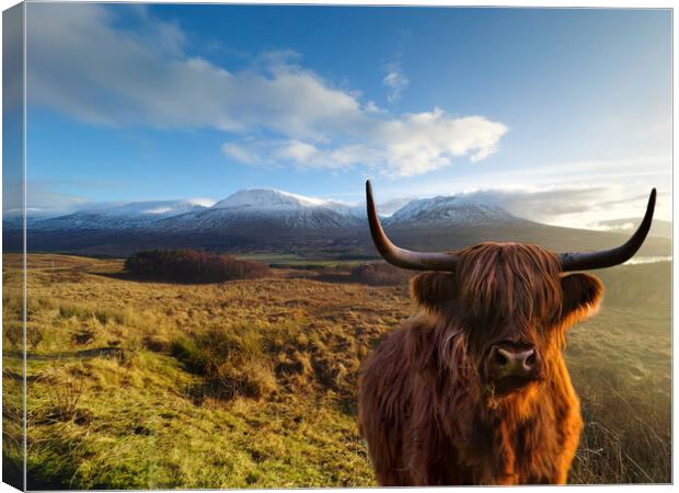 Highland Cow at Loch Tulla  Canvas Print by Alison Chambers