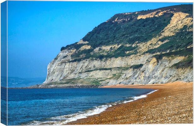 Golden Cap Dorset Canvas Print by Alison Chambers