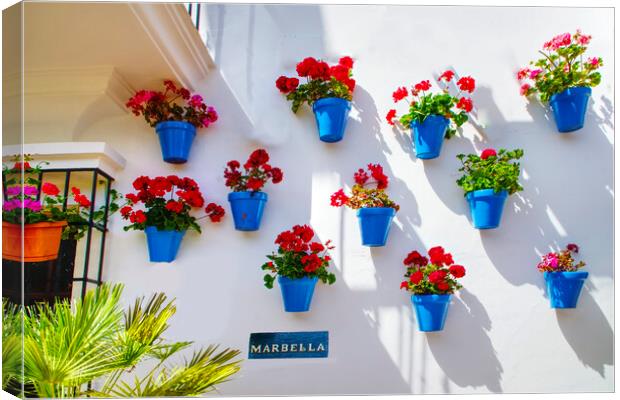 Marbella Geraniums  Canvas Print by Alison Chambers