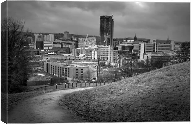 Sheffield Cityscape BW Canvas Print by Alison Chambers