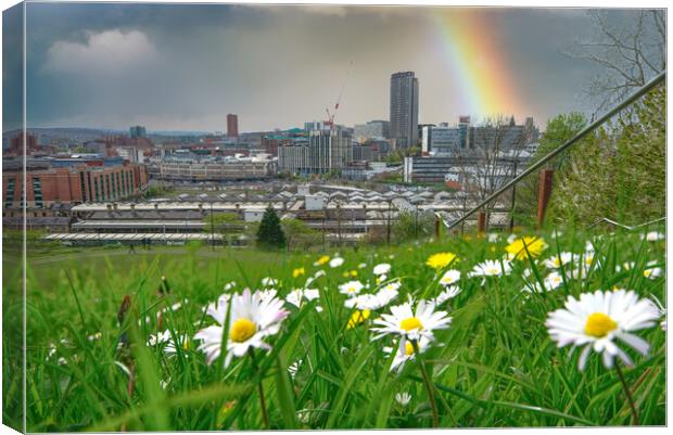 Sheffield Springtime Cityscape Canvas Print by Alison Chambers