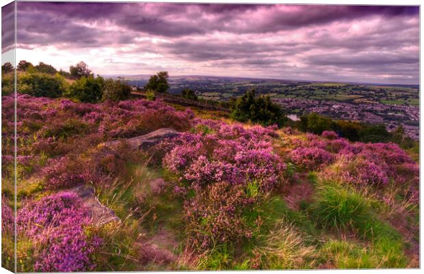 Otley Chevin Canvas Print by Alison Chambers