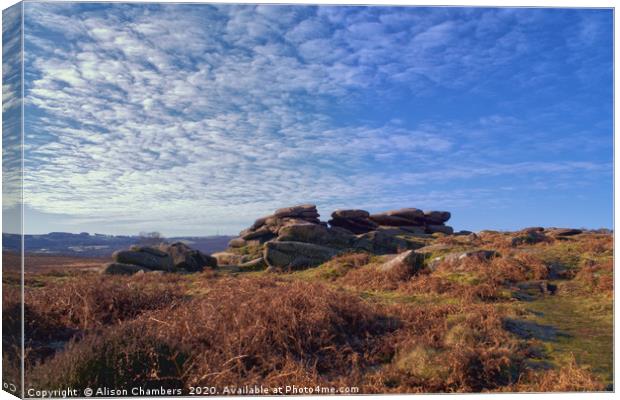 Owler Tor Canvas Print by Alison Chambers