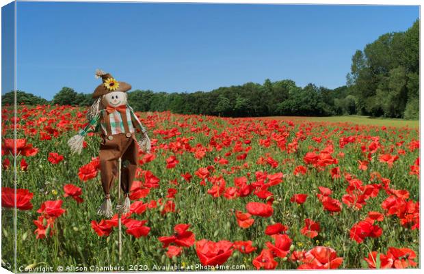 Scarecrow In Poppy Field  Canvas Print by Alison Chambers