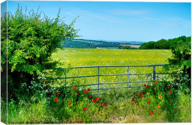 Poppies At The Gate Canvas Print by Alison Chambers