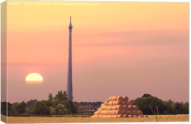 Late Summer At Emley Moor Canvas Print by Alison Chambers