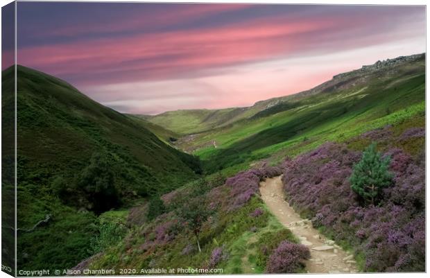 Grindsbrook in Bloom  Canvas Print by Alison Chambers