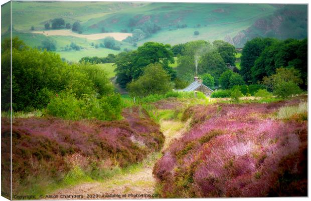 Moorland Cottage Staffordshire  Canvas Print by Alison Chambers