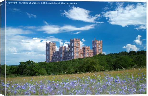 Riber Castle Canvas Print by Alison Chambers