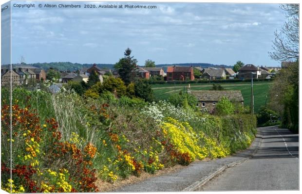 Summer in Emley Canvas Print by Alison Chambers