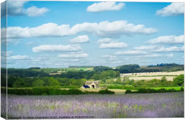 Windrush Valley Cotswolds Canvas Print by Alison Chambers