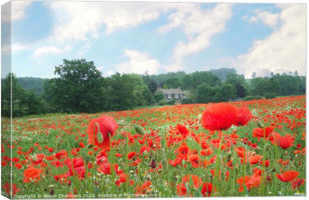 Country Poppies Canvas Print by Alison Chambers