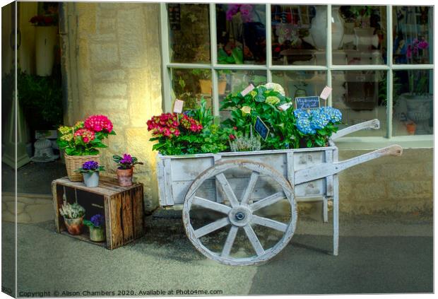 The Florist's Shop Canvas Print by Alison Chambers