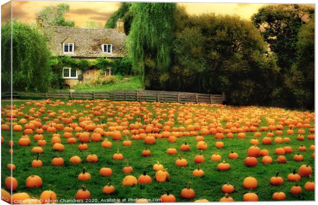 The Pumpkin Patch  Canvas Print by Alison Chambers