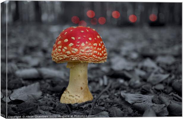 Fly Agaric Toadstool  Canvas Print by Alison Chambers