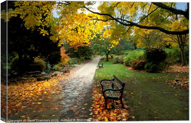 Autumn in Sheffield Botanical Gardens  Canvas Print by Alison Chambers