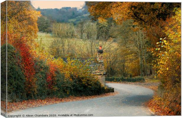 Autumn in Ashover Canvas Print by Alison Chambers