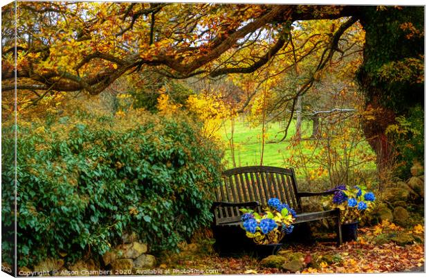 Ashover Autumn Bench Canvas Print by Alison Chambers
