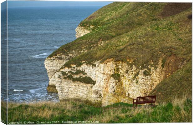 Bempton Cliffs View, North Yorkshire Coast Canvas Print by Alison Chambers