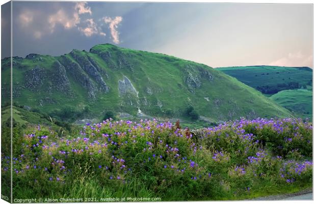 Chrome Hill Canvas Print by Alison Chambers