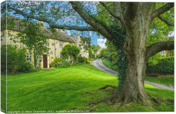 Broad Campden Village Green Canvas Print by Alison Chambers
