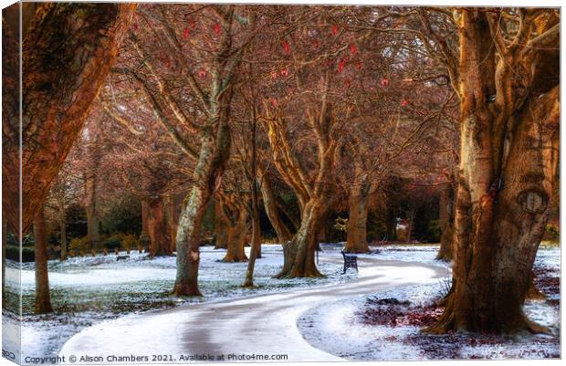 Snow Covered Path At Locke Park Canvas Print by Alison Chambers