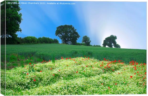 Wakefield Landscape  Canvas Print by Alison Chambers