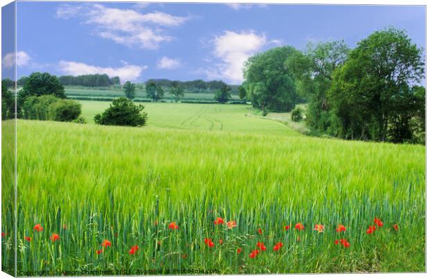 Frickley Landscape Doncaster Canvas Print by Alison Chambers