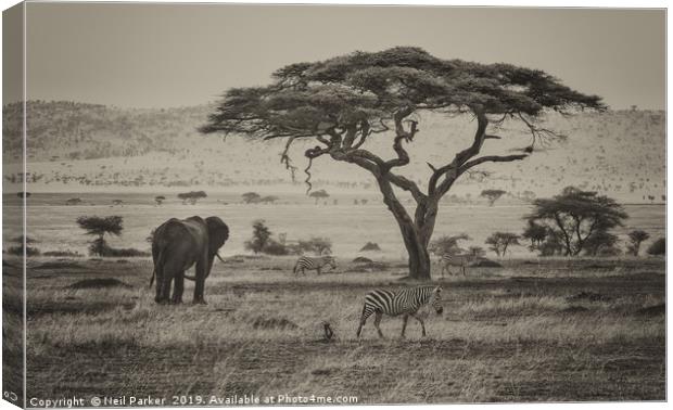 Out of Africa, Serengeti  Canvas Print by Neil Parker