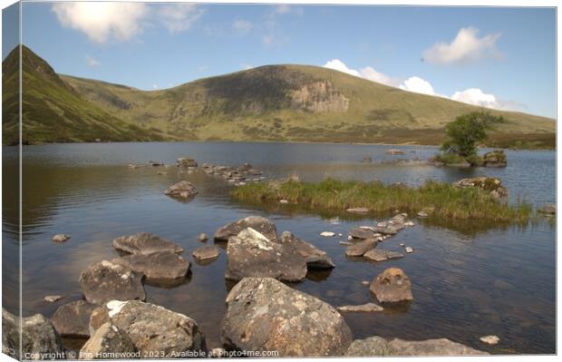 Loch Skeen Tranquility Canvas Print by Ian Homewood