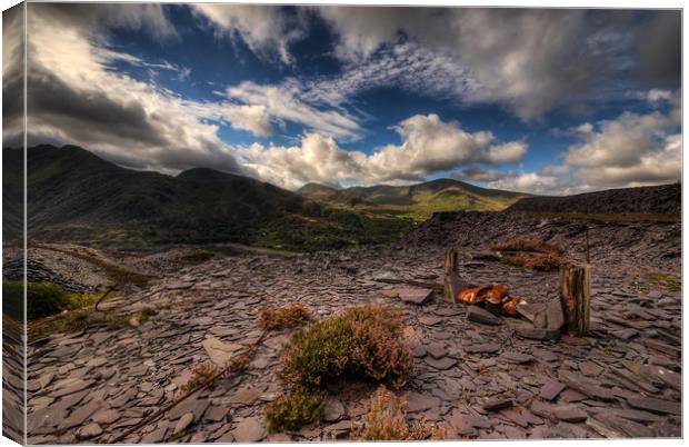 Industrial Beauty in Snowdonia Canvas Print by Ian Homewood