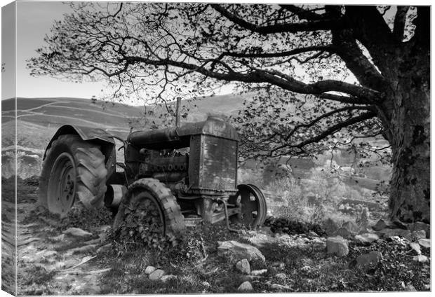 Forgotten Fordson, Kentmere Canvas Print by Ian Homewood