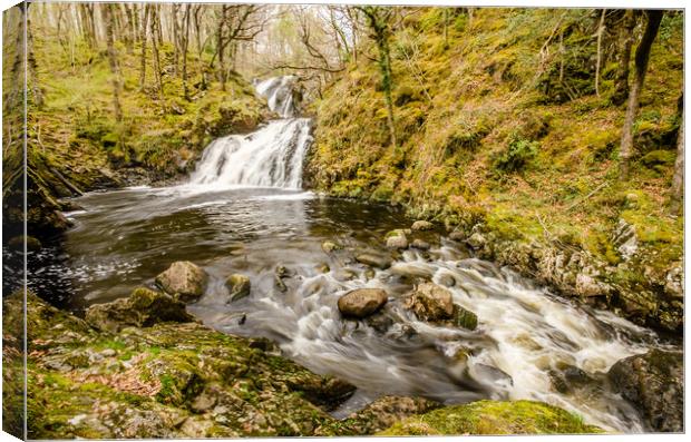 Pistyll Rhaiadr Du, North Wales Canvas Print by Ian Homewood