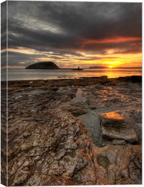 First Rays at Penmon Point, Anglesey Canvas Print by Ian Homewood