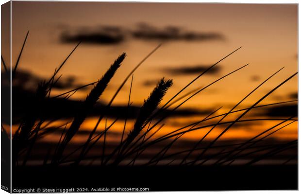 Sunset Through The Dunes Canvas Print by Steve Huggett