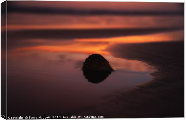 Sunset Shell at Cefn Sidan Beach Pembrey Canvas Print by Steve Huggett