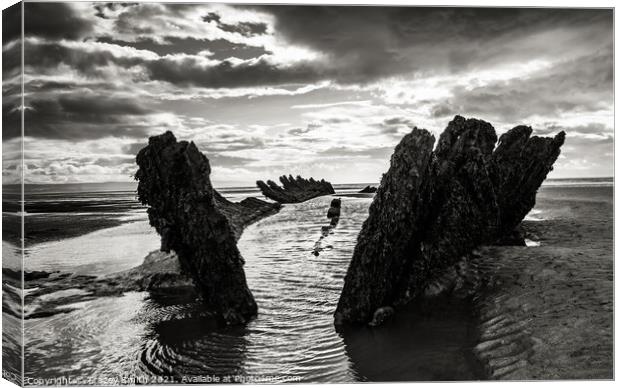 The Shipwreck on the beach Canvas Print by Tracey Smith