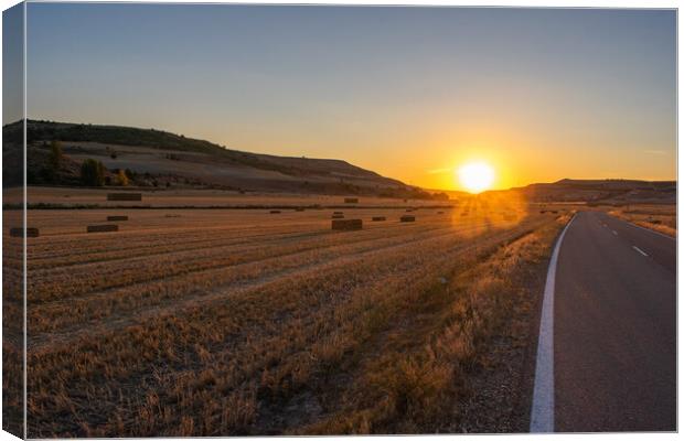 empty road crossing agricultural field at sunset Canvas Print by David Galindo